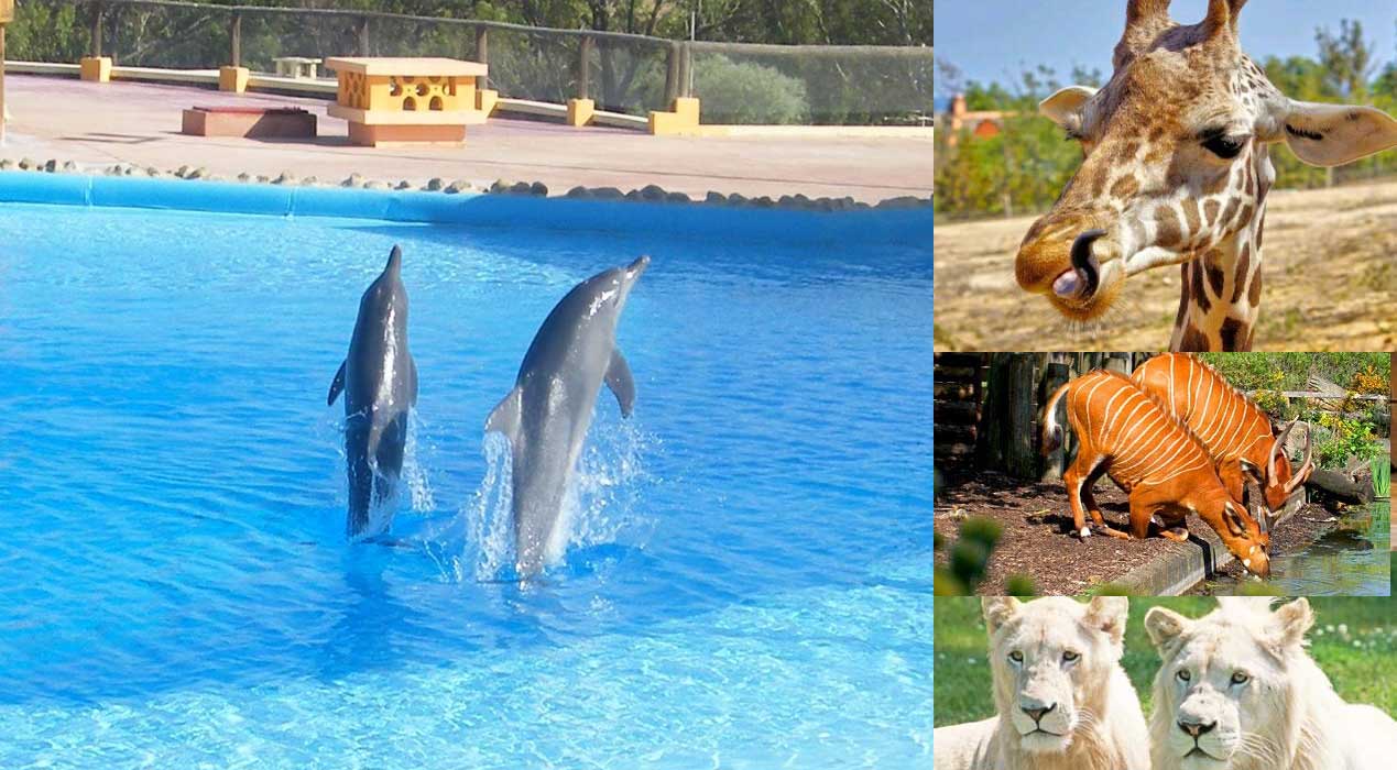 Friguia-Park-Hammamet