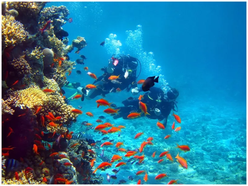 Snorkelen-Tabarka-jpg