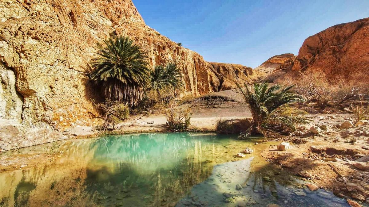oasis