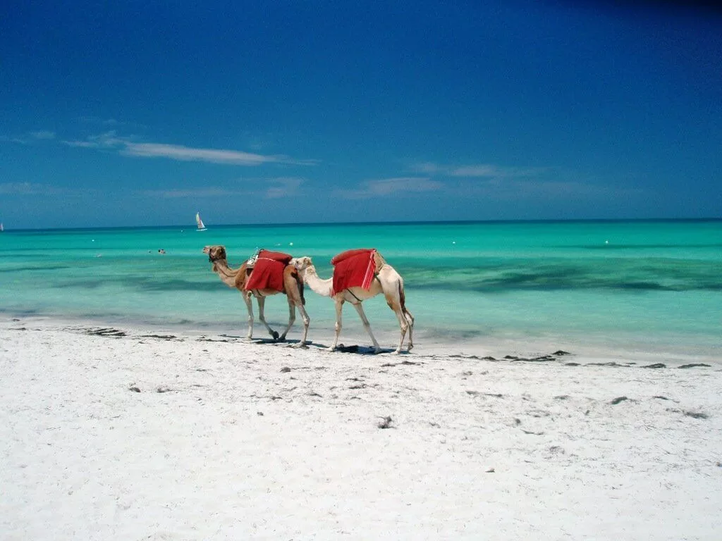 plage-de-djerba-1-jpg